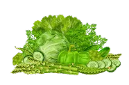 Vegetables